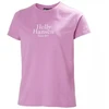 Helly Hansen Core Graphic 2.0 marškinėliai W 54592 089