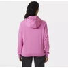 Helly Hansen Core Graphic Hoodie W 54239 089