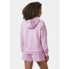 Helly Hansen Core Graphic Hoodie W 54239 052
