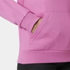 Helly Hansen Core Graphic Hoodie W 54239 089