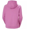 Helly Hansen Core Graphic Hoodie W 54239 089