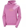 Helly Hansen Core Graphic Hoodie W 54239 089