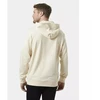 Helly Hansen Core Graphic Sweat Hoodie M 53924 034
