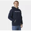 Helly Hansen Core Graphic Sweat Hoodie M 53924 596