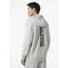 Helly Hansen Core Graphic Sweat Hoodie M 53924 825