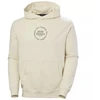 Helly Hansen Core Graphic Sweat Hoodie M 53924 034