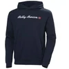 Helly Hansen Core Graphic Sweat Hoodie M 53924 596
