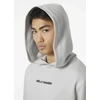 Helly Hansen Core Graphic Sweat Hoodie M 53924 825
