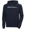 Helly Hansen Core Graphic Sweat Hoodie M 53924 596