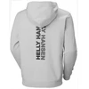 Helly Hansen Core Graphic Sweat Hoodie M 53924 825