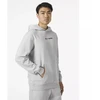 Helly Hansen Core Graphic Sweat Hoodie M 53924 825