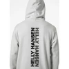 Helly Hansen Core Graphic Sweat Hoodie M 53924 825