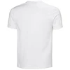 Helly Hansen Core Graphic T 2.0 M marškinėliai 54599 002
