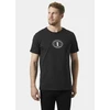 Helly Hansen Core Graphic TM marškinėliai 53936 993