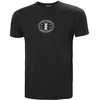 Helly Hansen Core Graphic TM marškinėliai 53936 993