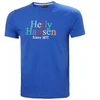 Helly Hansen Core Graphit TM 53936 543 Marškinė