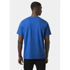 Helly Hansen Core Graphit TM 53936 543 Marškinė