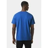 Helly Hansen Core Graphit TM 53936 543 Marškinė