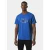 Helly Hansen Core Graphit TM 53936 543 Marškinė
