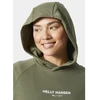 Helly Hansen Core Hoodie Dress W 54079 421