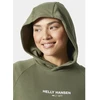 Helly Hansen Core Hoodie Dress W 54079 421