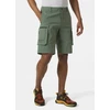 Helly Hansen Move Gd Šortai 2.0 M 53977 476