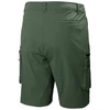 Helly Hansen Move Gd Šortai 2.0 M 53977 476