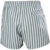 Helly Hansen Newport Trunk Maudalinės Trumpikės Vyrams M 34296 485
