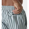 Helly Hansen Newport Trunk Maudalinės Trumpikės Vyrams M 34296 485