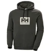 Helly Hansen Tokyo džemperis su gobtuvu M 53289-482