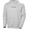 Helly Hansen Vyriškas CORE Džemperis su gobtuvu 54525 949