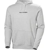 Helly Hansen Vyriškas CORE Džemperis su gobtuvu 54525 949