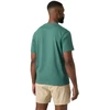 Helly Hansen vyriški marškinėliai HH BOX T 2.0 54597 494