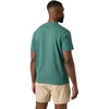 Helly Hansen vyriški marškinėliai HH BOX T 2.0 54597 494