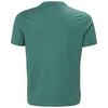 Helly Hansen vyriški marškinėliai HH BOX T 2.0 54597 494
