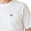 Helly Hansen vyriški marškinėliai HUDSON 54530 001