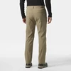 Helly Hansen vyriškos kelnės HOLMEN 5 POCKET PANT 63521 757