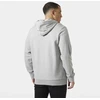 Helly Hansen vyrų HH LOGO džemperis su gobtuvu 54582 949