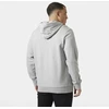 Helly Hansen vyrų HH LOGO džemperis su gobtuvu 54582 949