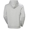 Helly Hansen vyrų HH LOGO džemperis su gobtuvu 54582 949