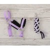 Hobi arkliuko kantaras ir pavadys – juoda ir violetinė