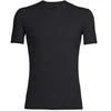 Carruzzo Icebreaker Mens Anatomica SS Crewe