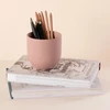 AmeliaHome Indelis su dangteliu 10×9,5 AH SHIRE ROSE