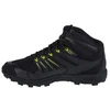Inov-8 Roclite 345 GTX V2 M batai 001071-BKLM-M-01