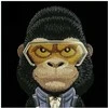 „Nimmy Cool&Cute 2.0 Gorilla“ dėklas, skirtas „iPhone 17 Pro Max“ - Juodas