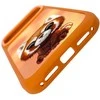 iPhone 17 Pro Max dėklas oranžinis Raccoon Nimmy