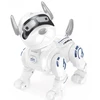 Išmamusis šuo robotas su RC
