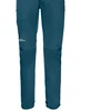 Jack Wolfskin Morobbia kelnės M 1507641-4133
