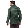 Jack Wolfskin Routeburn Pro Ins striukė M 1206862-T0138