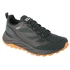 Jack Wolfskin Terraventure Texapore Vyriški žemi batai 4051621-4161